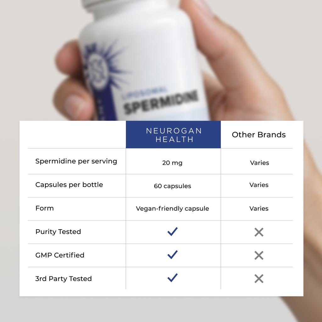 Liposomal Spermidine Capsules